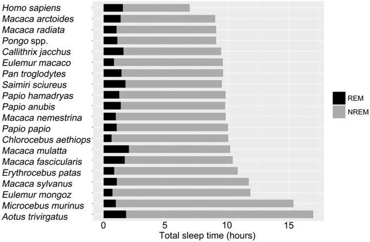Duration-of-REM-NREM-and-total-sleep-in-primates-Humans-sleep-the-least-compared-to-all