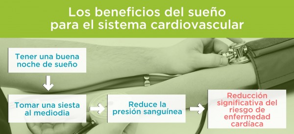 Dormir bien y una siesta reduce la presion sanguinea y el riesgo de enfermedad cardiovascular Dormir bien y una siesta reduce la presion sanguinea y el riesgo de enfermedad cardiovascular. Por Recharge Energy. CC BY-SA 4.0