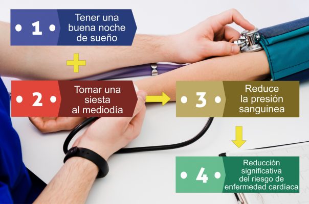 Dormir bien y una siesta reduce la presion sanguinea y el riesgo de enfermedad cardiovascular Dormir bien y una siesta reduce la presion sanguinea y el riesgo de enfermedad cardiovascular. Por Recharge Energy. CC BY-SA 4.0
