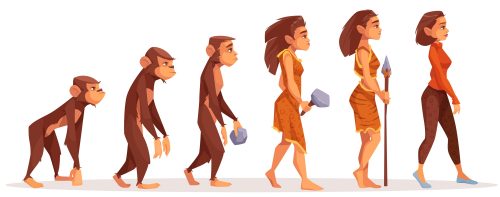 Evolucion Humana Evolucion Humana