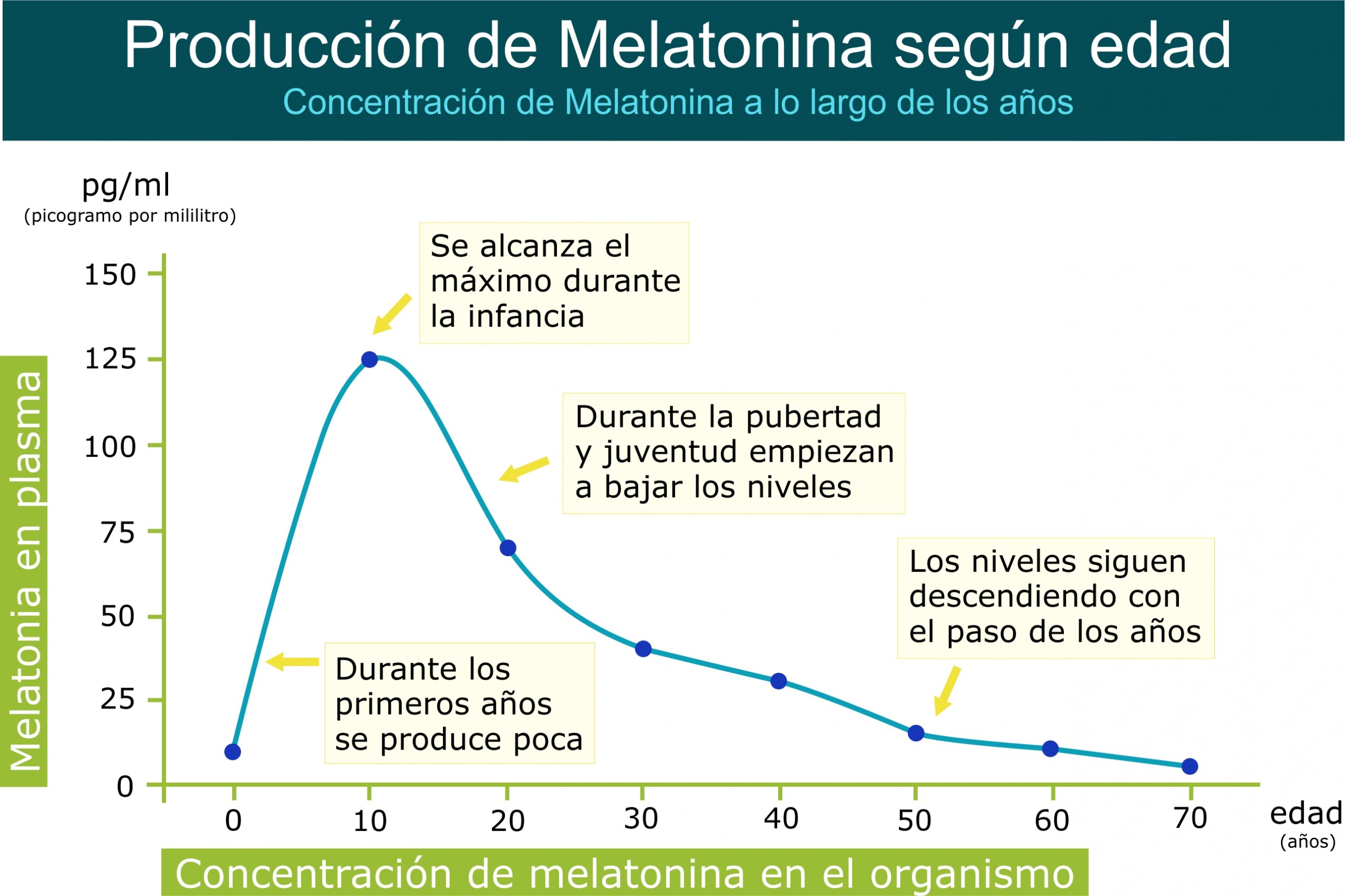 Contraindicaciones de la melatonina