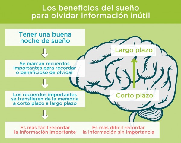 Sólo recuerdos importantes se transfieren a la memoria a largo plazo Sólo recuerdos importantes se transfieren a la memoria a largo plazo. Por Recharge Energy. CC BY-SA 4.0