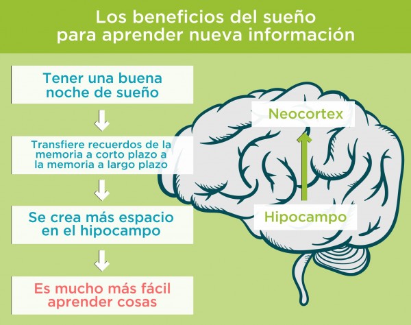 Transferencia de recuerdos del hipocampoa al neocortex Transferencia de memoria a corto plazo a largo plazo durante el sueño. Por Recharge Energy. CC BY-SA 4.0