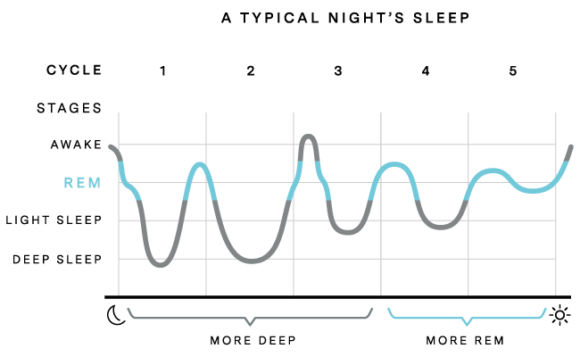 Sleep Cycles NREM REM Sleep Cycles Explained Sleep Cycles NREM REM Sleep Cycles Explained