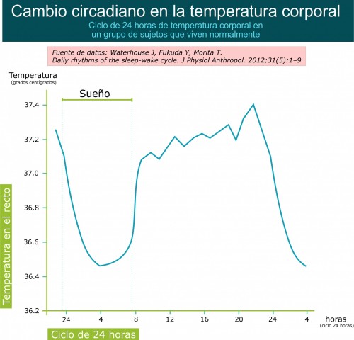 Temperatura corporal en un ciclo de 24 horas. Caída de temperatura durante la noche Temperatura corporal en un ciclo de 24 horas. Caída de temperatura durante la noche.Por Recharge Energy. CC BY-SA 4.0. Basado en el trabajo de Waterhouse J, Fukuda Y, Morita T. Daily rhythms of the sleep-wake cycle. J Physiol Anthropol. 2012;31(5):1–9