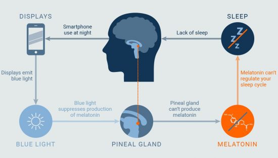 infografia_melatonina Infografia sobre los efectos de la luz azul y la melatonina. Fuente https://iristech.co/sleep-light-app/