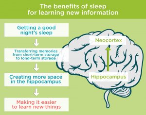 Benefits of Sleep | 11 health benefits of getting a good sleep