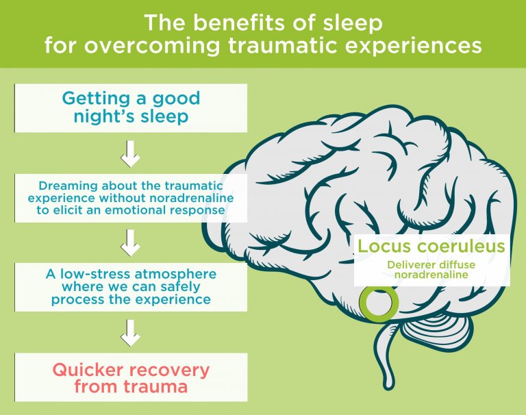 Benefits of Sleep | 11 health benefits of getting a good sleep