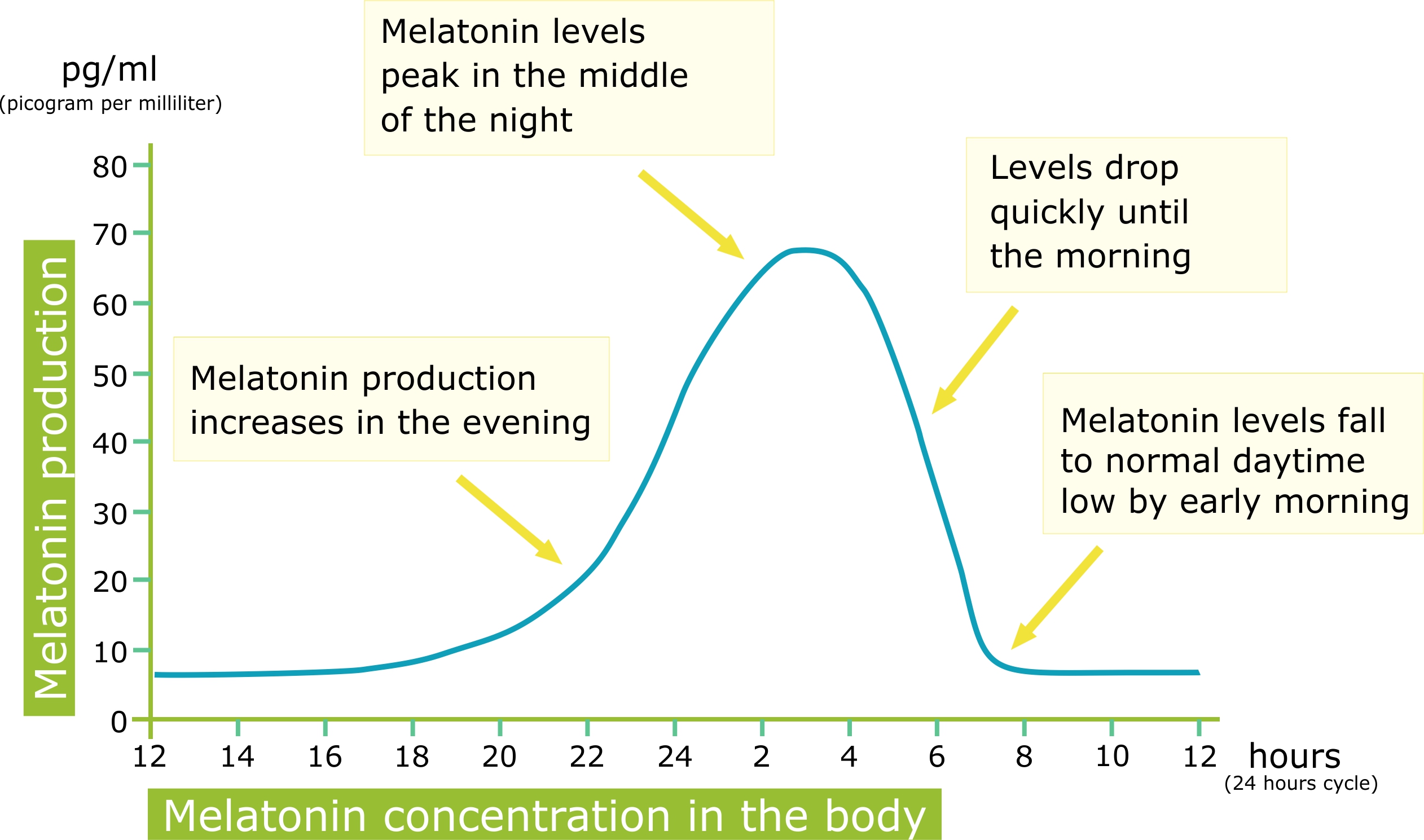 Melatonin for Sleep | Natural melatonin for improving sleep